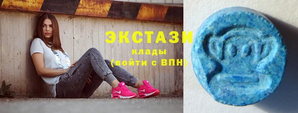 сатива Беломорск