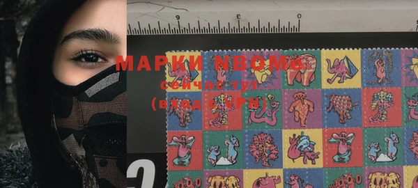 ПСИЛОЦИБИНОВЫЕ ГРИБЫ Грязовец
