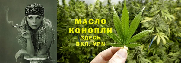 сатива Беломорск