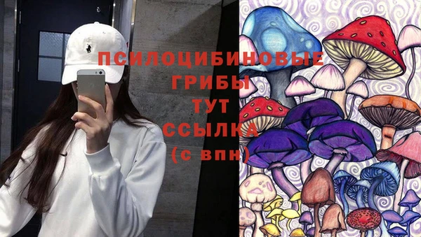 крисы Белоозёрский